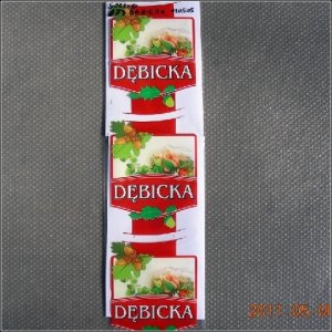 debicka-1